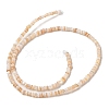 Natural Freshwater Shell Beads Strands SHEL-P017-01B-10-2
