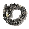 Natural Black Silk Stone/Netstone Beads Strands G-B078-D20-01-3