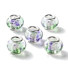 Transparent Two-Color Brass Cores Acrylic European Beads OACR-M024-05P-03-1