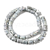 Electroplate Glass Beads Strands GLAA-D013-06D-2