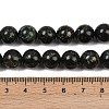 Natural Seraphinite Beads Strands G-H337-A03-05-5
