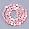 Natural Trochid Shell/Trochus Shell Beads Strands X-SSHEL-T012-05-2