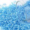 TOHO Round Seed Beads X-SEED-TR11-0163F-1