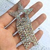 Star with Tassel Glitter Hotfix Rhinestone DIY-WH0301-04-2