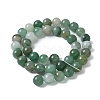 Natural Green Aventurine Beads Strands G-Q462-10mm-20-7