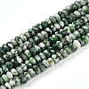 Natural Green Spot Jasper Beads Strands G-T141-41-4