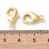 Rack Plating Brass Lobster Claw Clasps KK-F090-27G-03-3