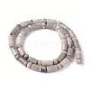 Natural Silver Leaf Jasper Beads Strands G-L528-02-3