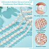  4 Strands 4 Styles Natural Cultured Freshwater Pearl Beads Strands PEAR-NB0001-87-4