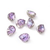 K9 Glass Rhinestone Cabochons RGLA-A025-02A-001VL-2