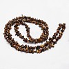 Chips Natural Tiger Eye Beads Strands G-N0164-66-3