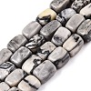 Natural Map Stone Beads Strands G-T138-98-4