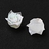 Luminous Resin Decoden Cabochons RESI-K036-50-2