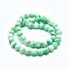 Natural Howlite Bead Strands G-I224-04A-8mm-3