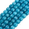 Natural Malaysia Jade Beads Strands G-L600-B01-01B-1