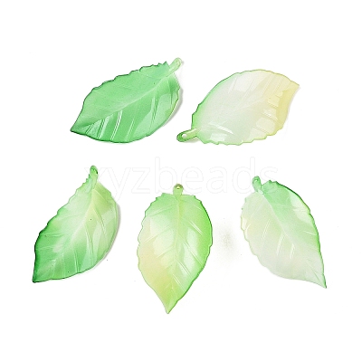 Gradient Color Acrylic Big Pendants OACR-N137-30-1