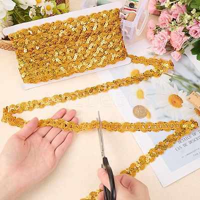 2Pcs Polyester Paillette Beads OCOR-CP0001-31A-1