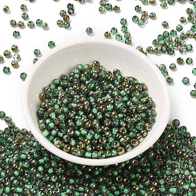 Glass Seed Beads X1-SEED-H002-B-D221-1