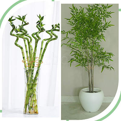 Iron Planters AJEW-WH0270-702-1