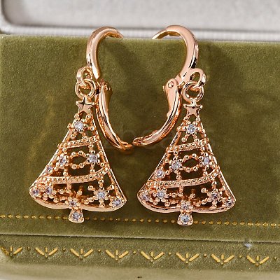 Brass Micro Pave Clear Cubic Zirconia Leverback Earrings EJEW-K300-28G-1