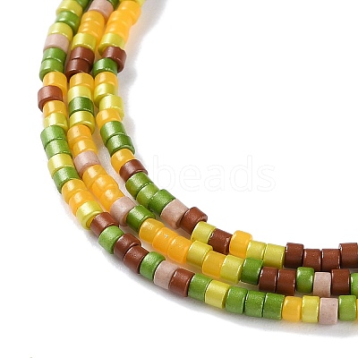 Handmade Lampwork Beads Strands LAMP-L078-008H-1