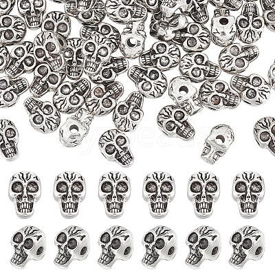 Tibetan Style Alloy Beads TIBEB-UN0001-02-1
