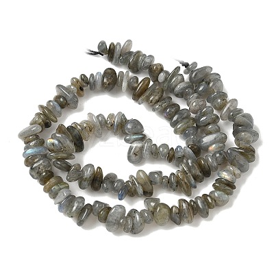 Natural Labradorite Beads Strands X-G-I225-15A-1