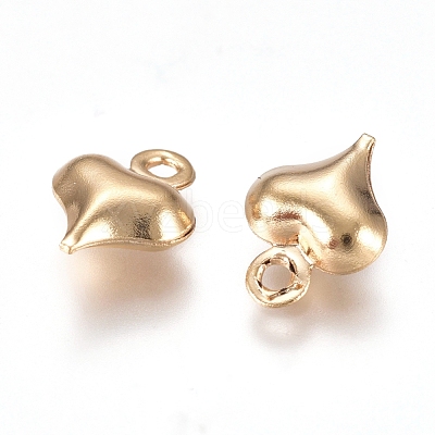 304 Stainless Steel Charms STAS-I138-11A-G-1