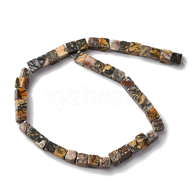 Natural Map Stone Beads Strands X-G-T139-8x8-45B-1