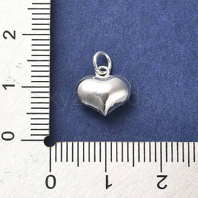 925 Sterling Silver Pendants STER-P057-07D-S-1