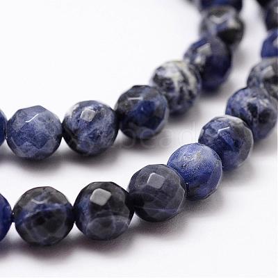 Natural Sodalite Beads Strands G-D840-19-6mm-1