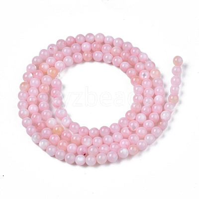 Natural Freshwater Shell Beads Strands X-BSHE-T009A-01C-1