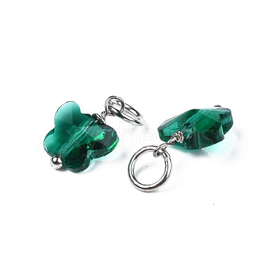 Faceted Transparent Glass Charms GLAA-T024-06F-1