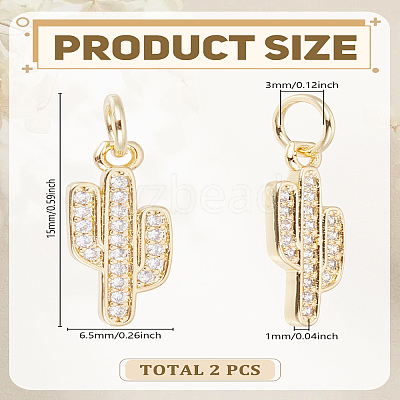 2Pcs Brass Micro Pave Cubic Zirconia Charms ZIRC-LP0001-64G-1