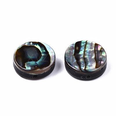 Natural Abalone Shell/Paua Shell Beads SSHEL-T014-14B-1