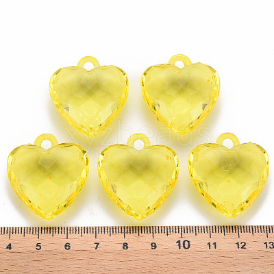 Transparent Acrylic Pendants TACR-T024-03B-916-1
