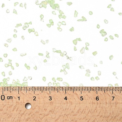 Transparent Electroplate Crushed Glass Craft GLAA-F123-08-1