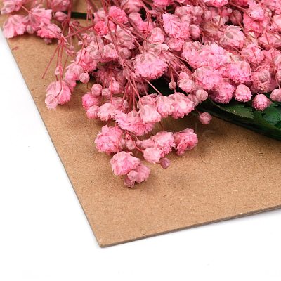 Dried Flower DIY-B018-10-1