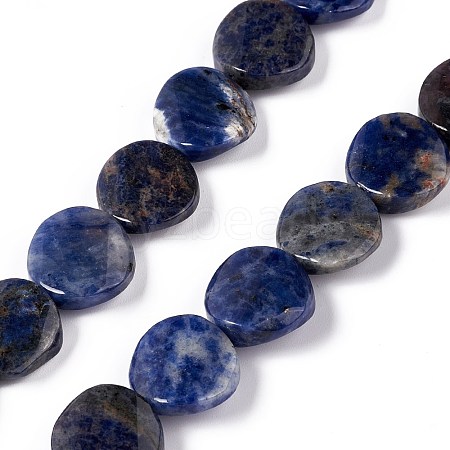 Natural Sodalite Beads Strands G-O120-14-1