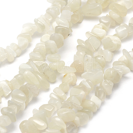 Natural Moonstone Beads Strands G-P406-21-1
