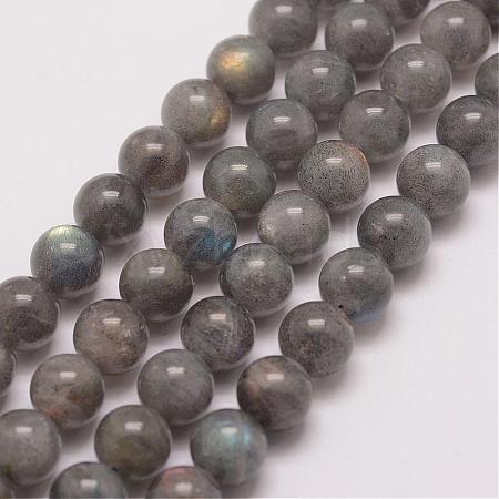 Natural Labradorite Bead Strands G-P259-03-8mm-1