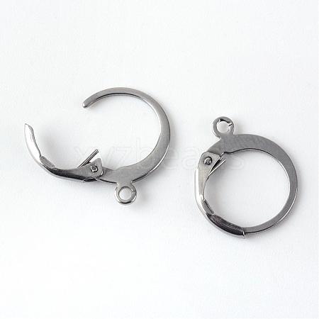 201 Stainless Steel Leverback Earring Findings STAS-R065-71-1