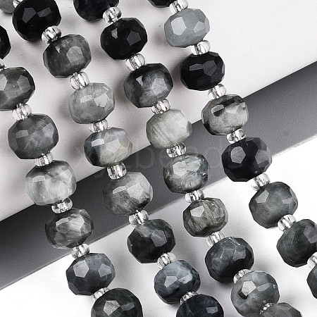 Natural Eagle Eye Stone Beads Strands G-N327-08A-02-1