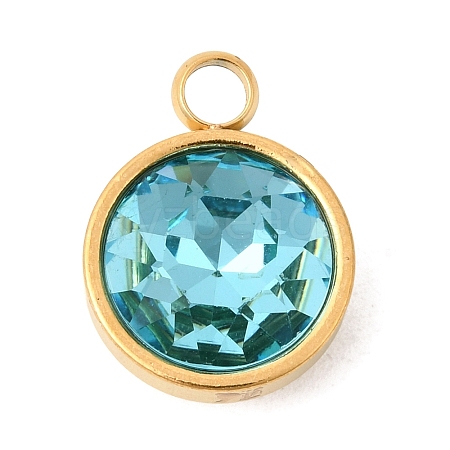 Birthstone Theme December 304 Stainless Steel Pendants STAS-K239-01G-A12-1