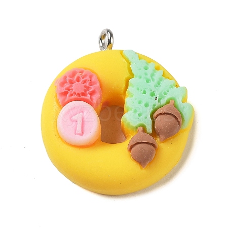 Opaque Resin Imitation Food Pendants CRES-M027-01A-1