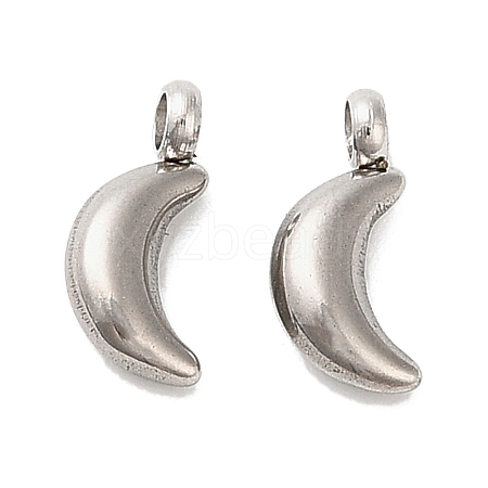 304 Stainless Steel Charms STAS-M017-14C-P-1-1