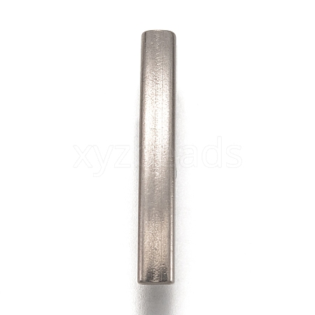 Non-Tarnish 304 Stainless Steel Tube Beads STAS-Z025-02P-1