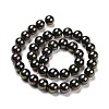 Shell Pearl Bead Strands BSHE-L025-05-16mm-5