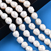 Natural Cultured Freshwater Pearl Beads Strands PEAR-N012-09E-2