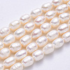 Natural Cultured Freshwater Pearl Beads Strands X-PEAR-F007-70-2